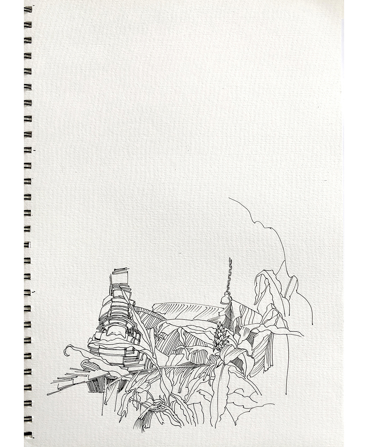 苏武钢笔插画《老屋》写生创作过程