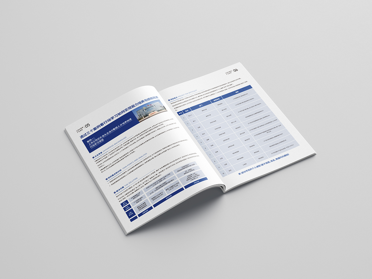 行动学习解决方案品牌画册设计（图ZMjgwNDM1MDAw） - 书籍/画册 - 站酷设计师爆米花花花花花原创素材 - 站酷ZCOOL