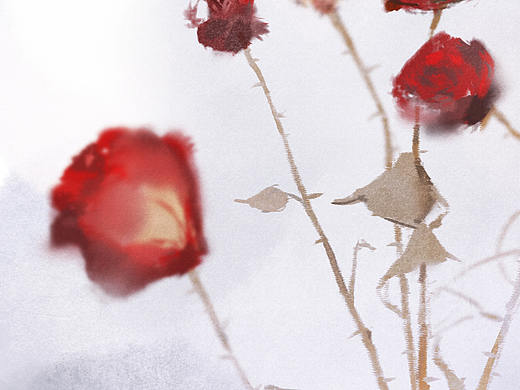 八月（个人主页-ZNTE1NjcwMTI=） - 创作习作 - 站酷设计师连夜ing原创素材 - 站酷ZCOOL