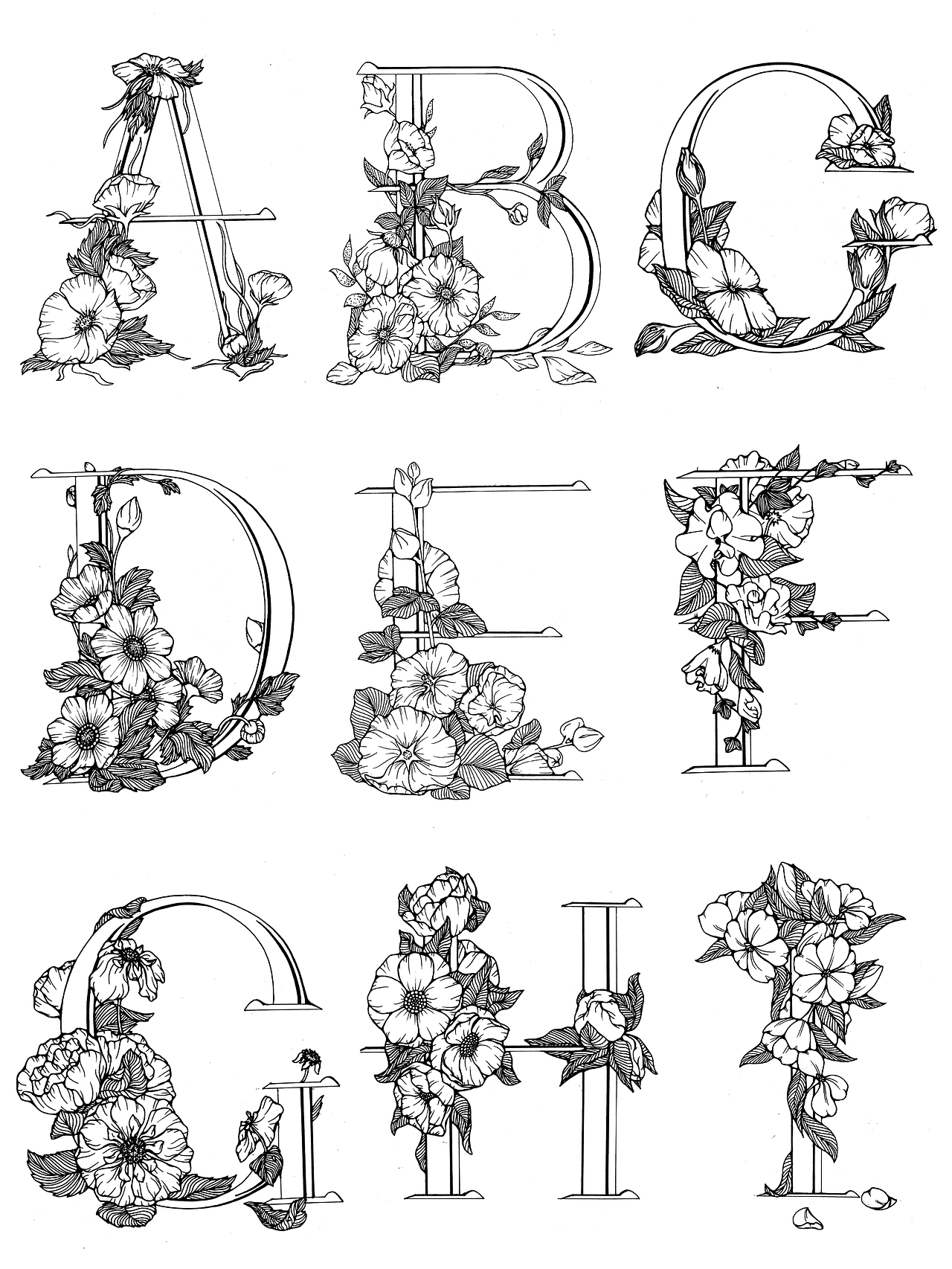 字母、数字与花（图ZMjcxNjE0NDk2） - 绘画 - 站酷设计师歪蹄原创素材 - 站酷ZCOOL