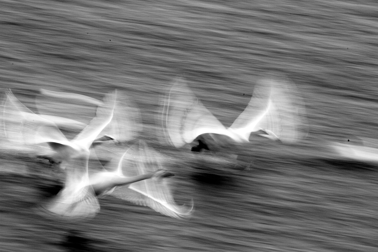 摄影（图ZOTc5MDM3NDA=） - 其他摄影 - 站酷设计师威舞长空原创素材 - 站酷ZCOOL