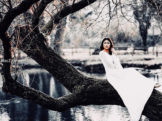 50 个暖色调和鲜艳的色彩lut调色预设包