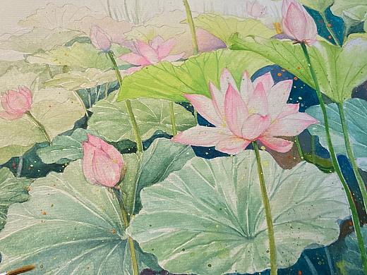 荷（个人主页-ZNDY2NzU2MDQ=） - 绘画 - 站酷设计师Aaron092原创素材 - 站酷ZCOOL