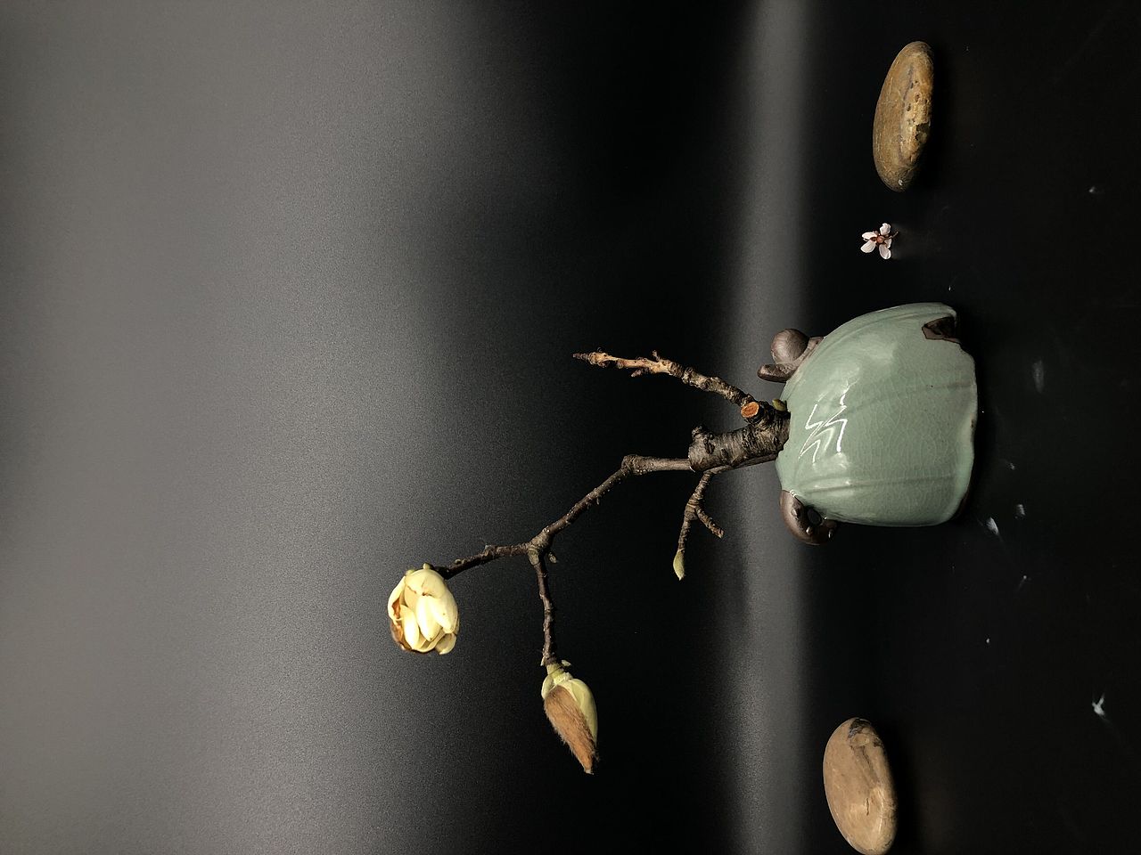 玲珑十小微花作品合集: