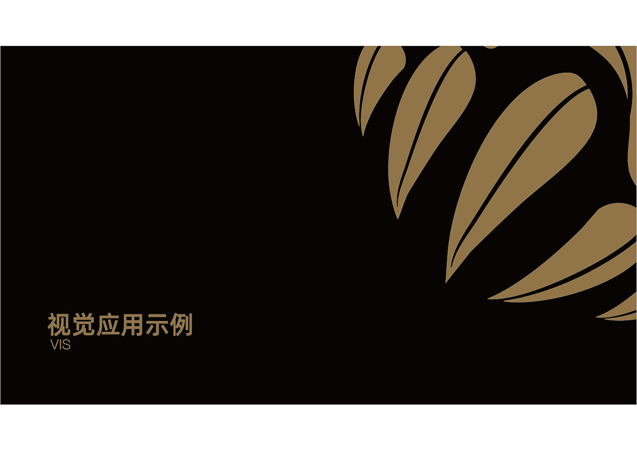 龙厨VI手册设计