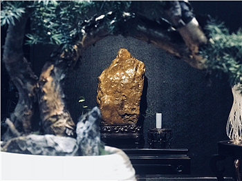 海柳手串 黑珊瑚海柳 红柳血柳