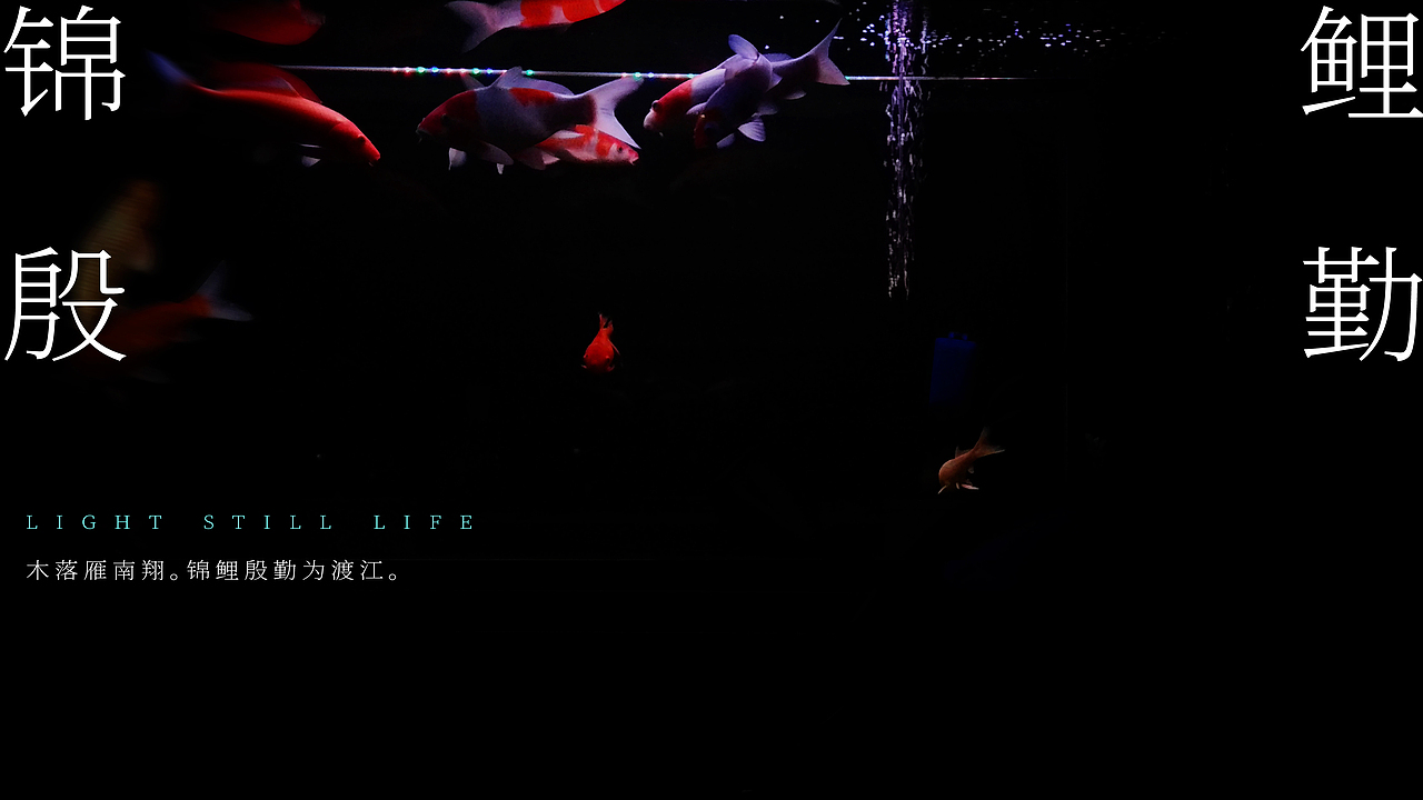 摄影打卡（SOMEONE有你）（图ZMjg3NjM3OTMy） - 人文/纪实摄影 - 站酷设计师sohochina2018原创素材 - 站酷ZCOOL