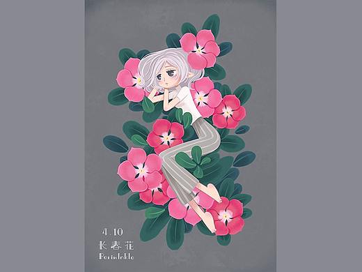 鹿之梦插画师魏莞——《生日花》系列 4.10 长春花（个人主页-ZMjcxMTcwNjA=） - 艺术插画 - 站酷设计师鹿想IDEER原创素材 - 站酷ZCOOL
