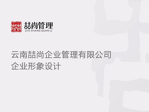 云南喆尚管理有限公司VIS设计