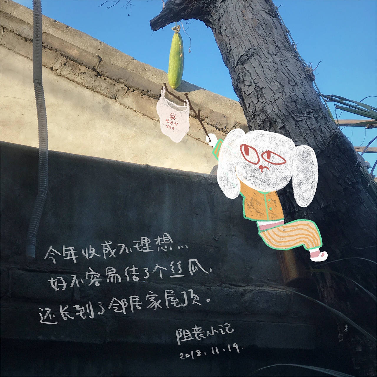 TOO谈:生活趣闻系列