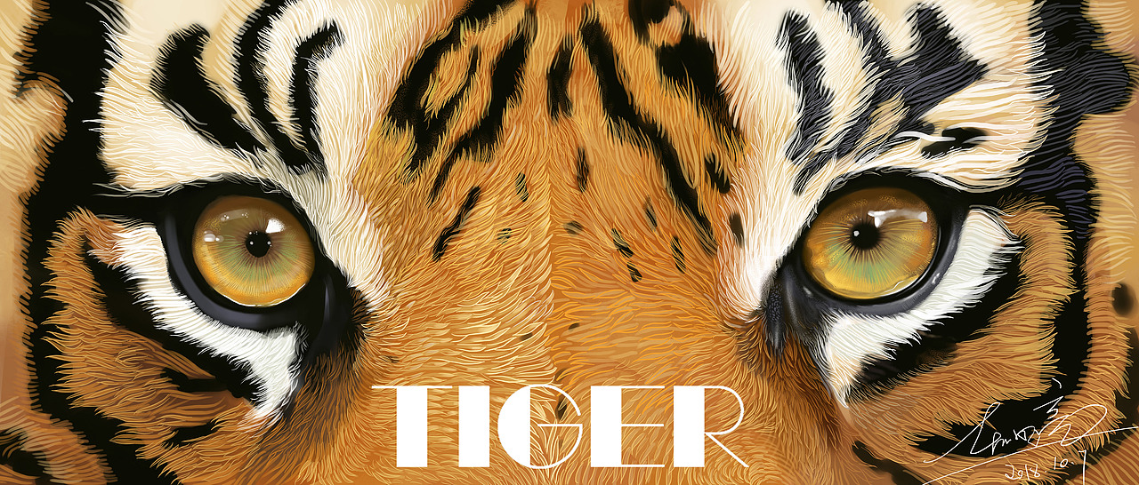 2018--作品合集-大猫动物系列（图ZMTQwMjcxMzYw） - 商业插画 - 站酷设计师狮子大亨原创素材 - 站酷ZCOOL