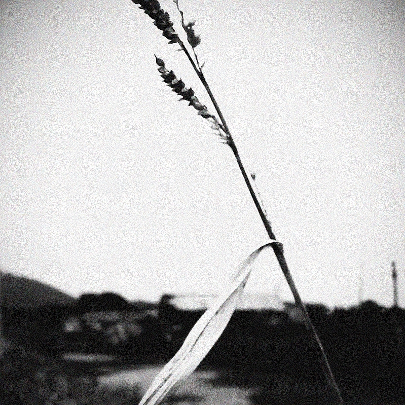 无题（图ZOTAxNTIyMjQ=） - 其他摄影 - 站酷设计师小隐西亭原创素材 - 站酷ZCOOL