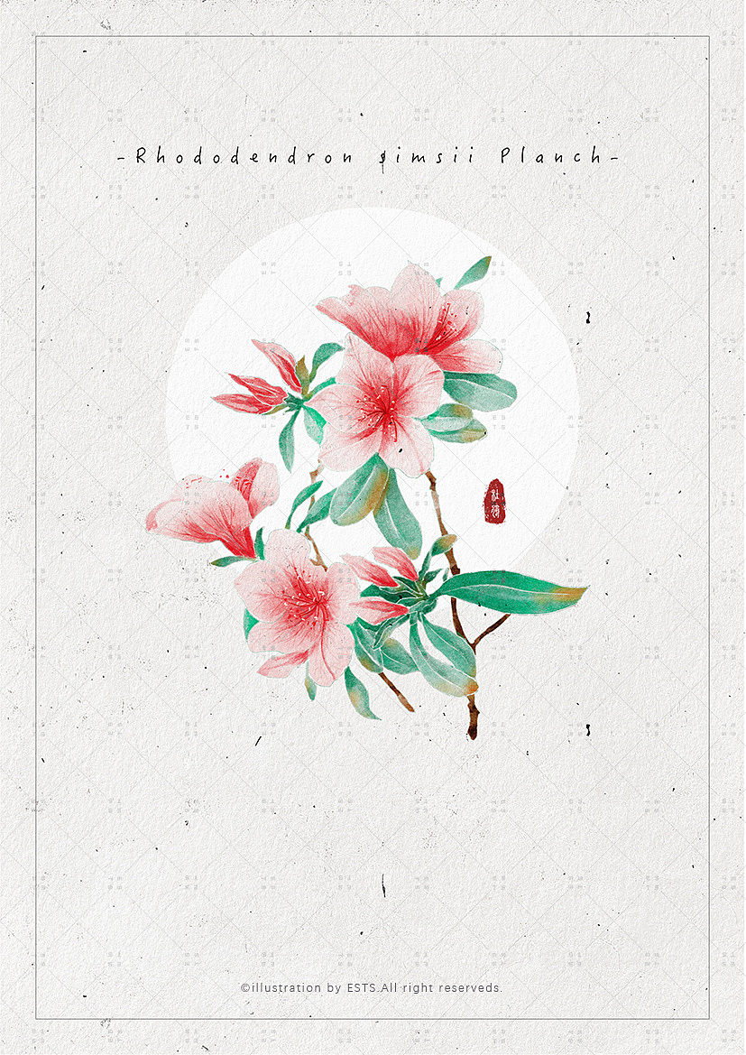 那些花儿-肆（图ZMTM3OTQwMDA4） - 创作习作 - 站酷设计师ESTS原创素材 - 站酷ZCOOL