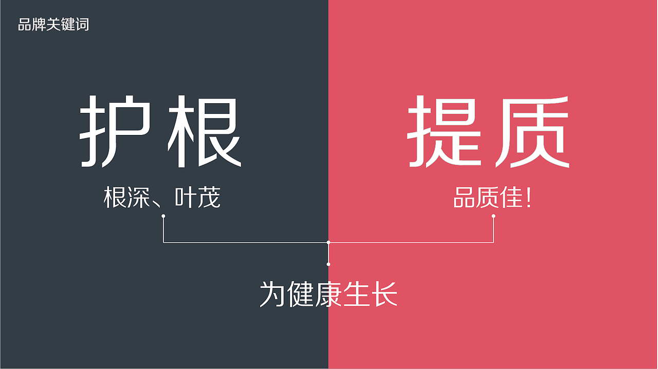 天一海研 大白鲨®️品牌设计(图ZMjU1ODk0NTI0) - 品牌 - 站酷设计师马涛品牌建造师原创素材 - 站酷ZCOOL
