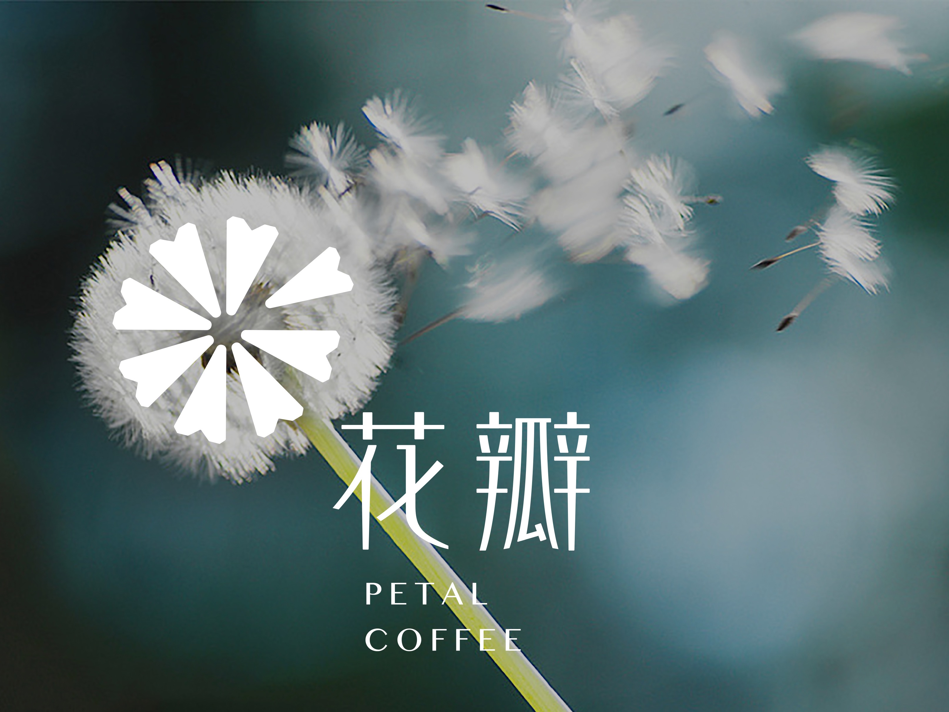 [花瓣咖啡]logo设计