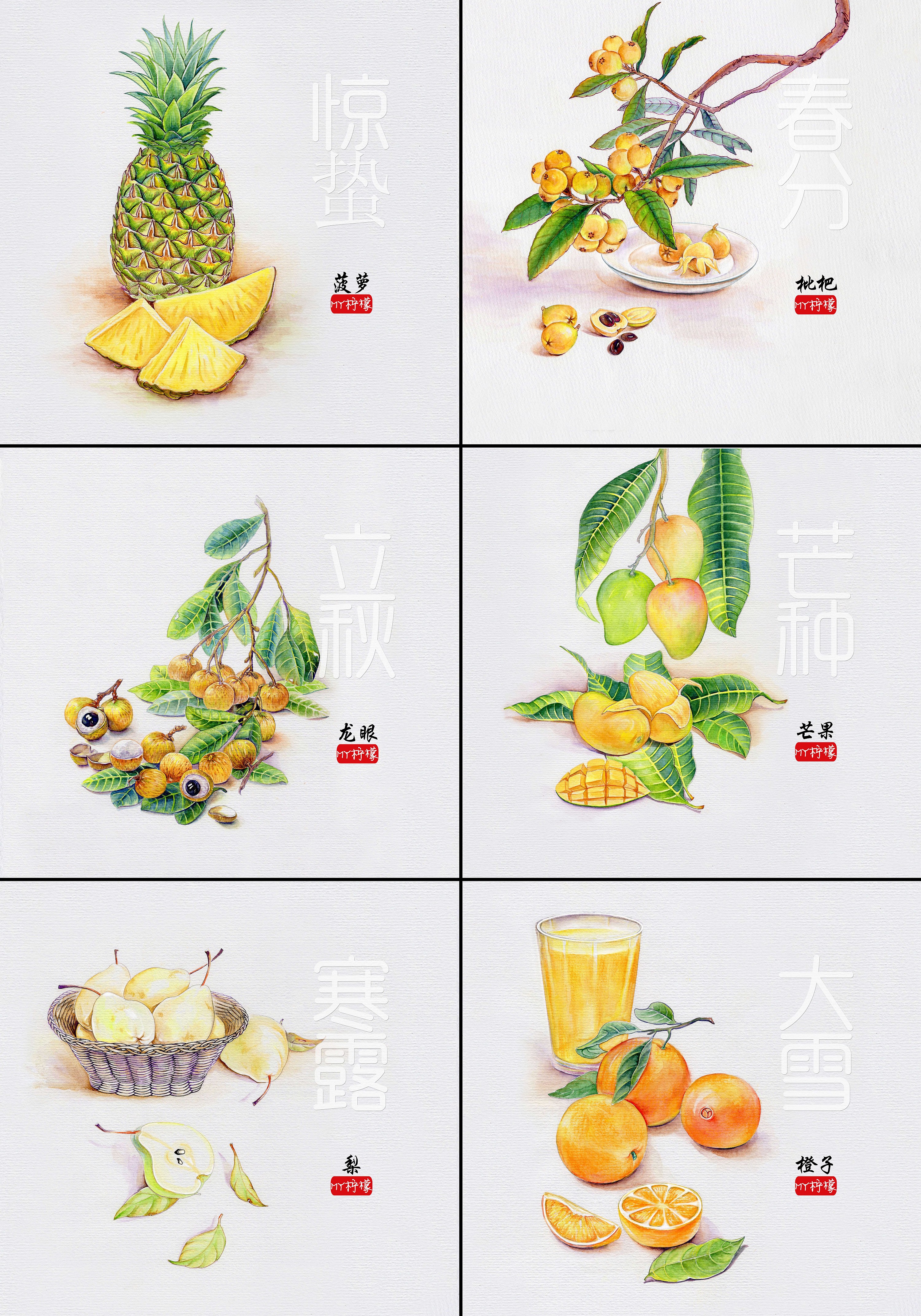 二十四节气水果手绘