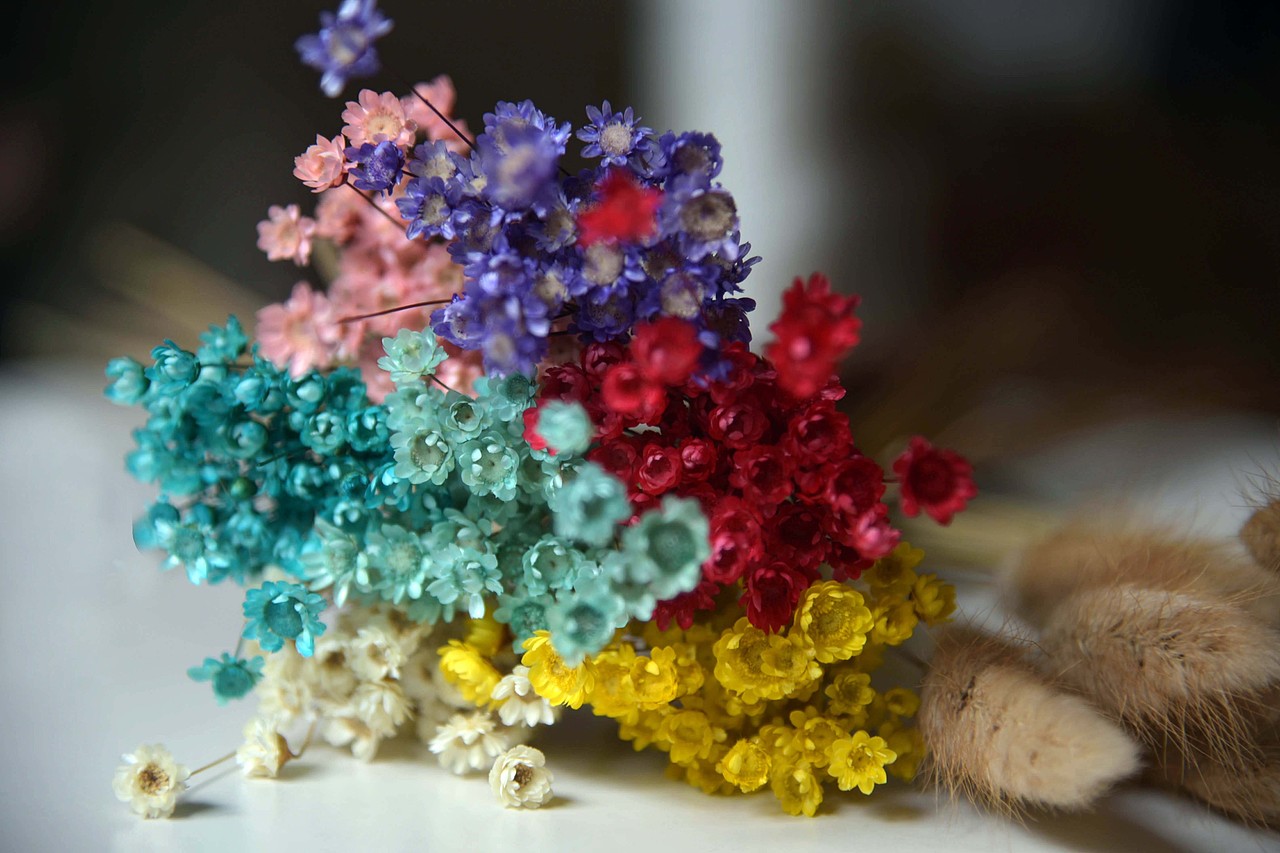 干花勿忘我 薰衣草 小雏菊 满天星，（图ZNDM0NzE5MTY=） - 产品摄影 - 站酷设计师鱼头疼原创素材 - 站酷ZCOOL