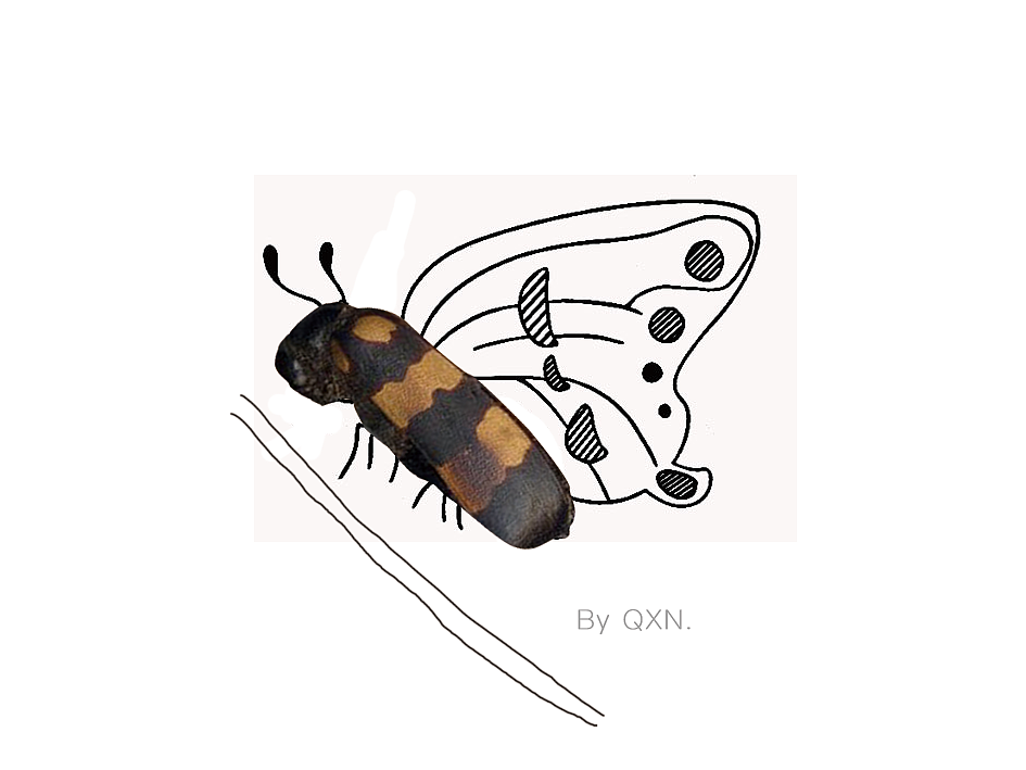 中药也能萌萌哒【创意画三】（图ZNjA4MTg3MTY=） - 艺术插画 - 站酷设计师冬天吃西瓜原创素材 - 站酷ZCOOL