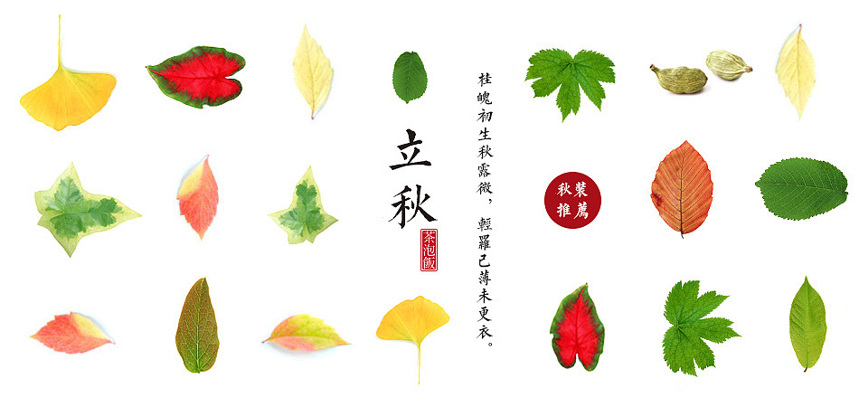 平面设计杂作（画册、海报、POP、Banner等）（图ZNTQ5ODY4MTY=） - 宣传物料 - 站酷设计师zmy5187原创素材 - 站酷ZCOOL