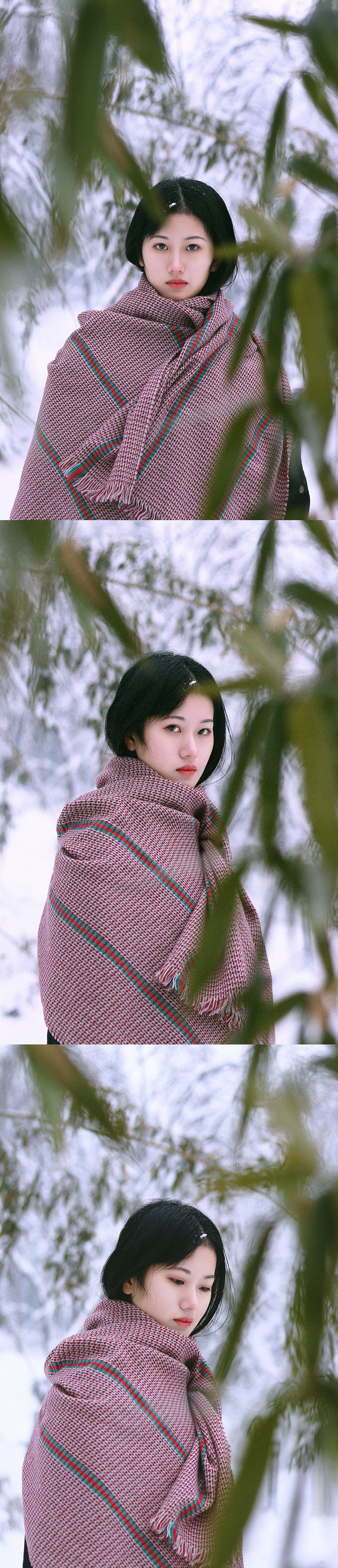 初雪 摄影 喜欢