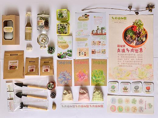 [包装设计]多肉植物馆系列包装