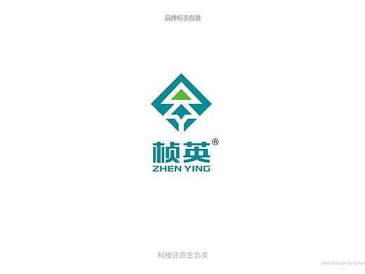 桢英木业有限公司品牌形象设计/包装设计/宣传画册设计