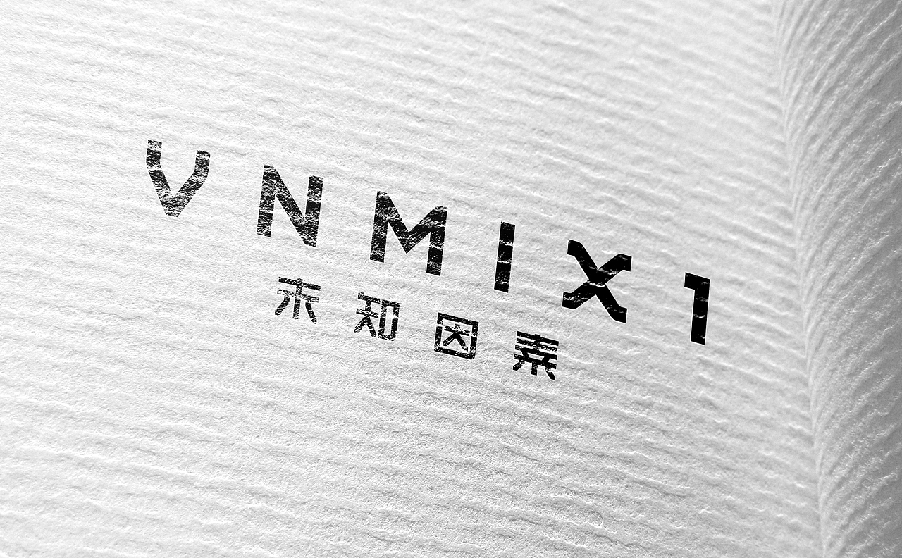 VNMIX1｜未知因素品牌设计