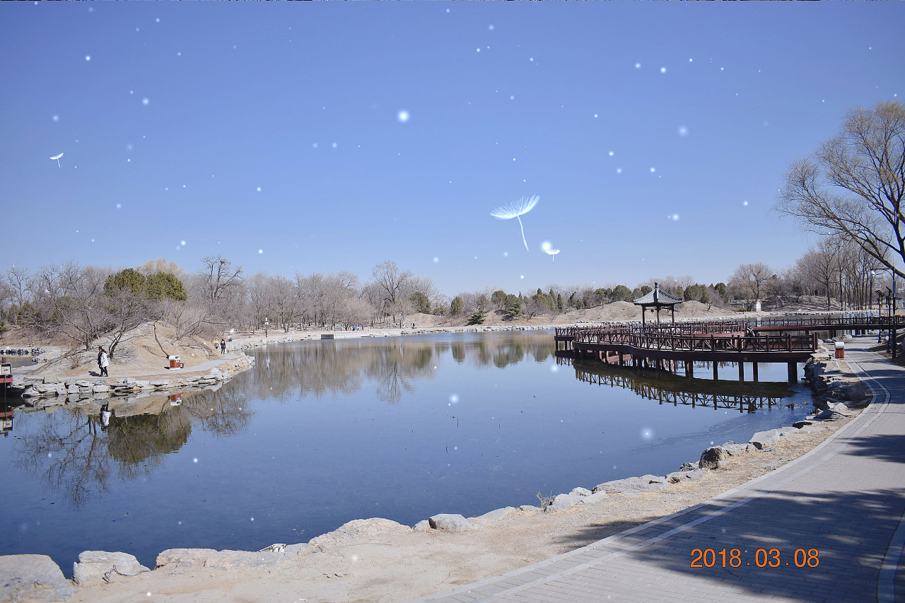 大猫爱吃肉的个人主页（封面预览） - 主页封面设置 - 站酷设计师大猫爱吃肉原创素材 - 站酷ZCOOL