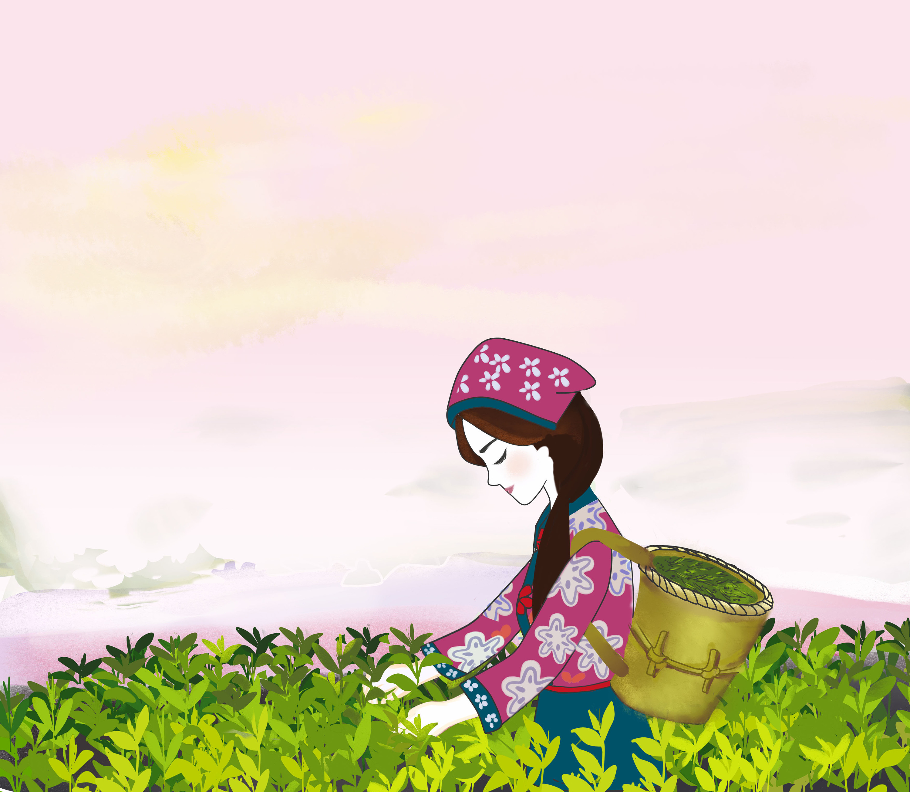 茶叶 包装插画设计