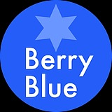 Berryblue莓蓝的头像