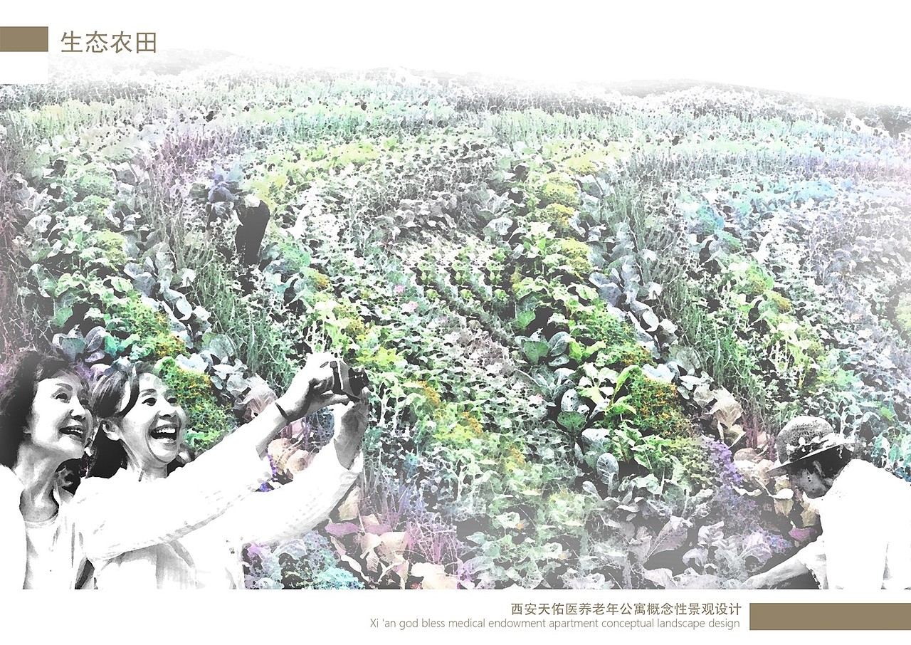 归园田居敬老院景观设计（图ZNzA2ODI1MjA=） - 景观设计 - 站酷设计师调色板22原创素材 - 站酷ZCOOL