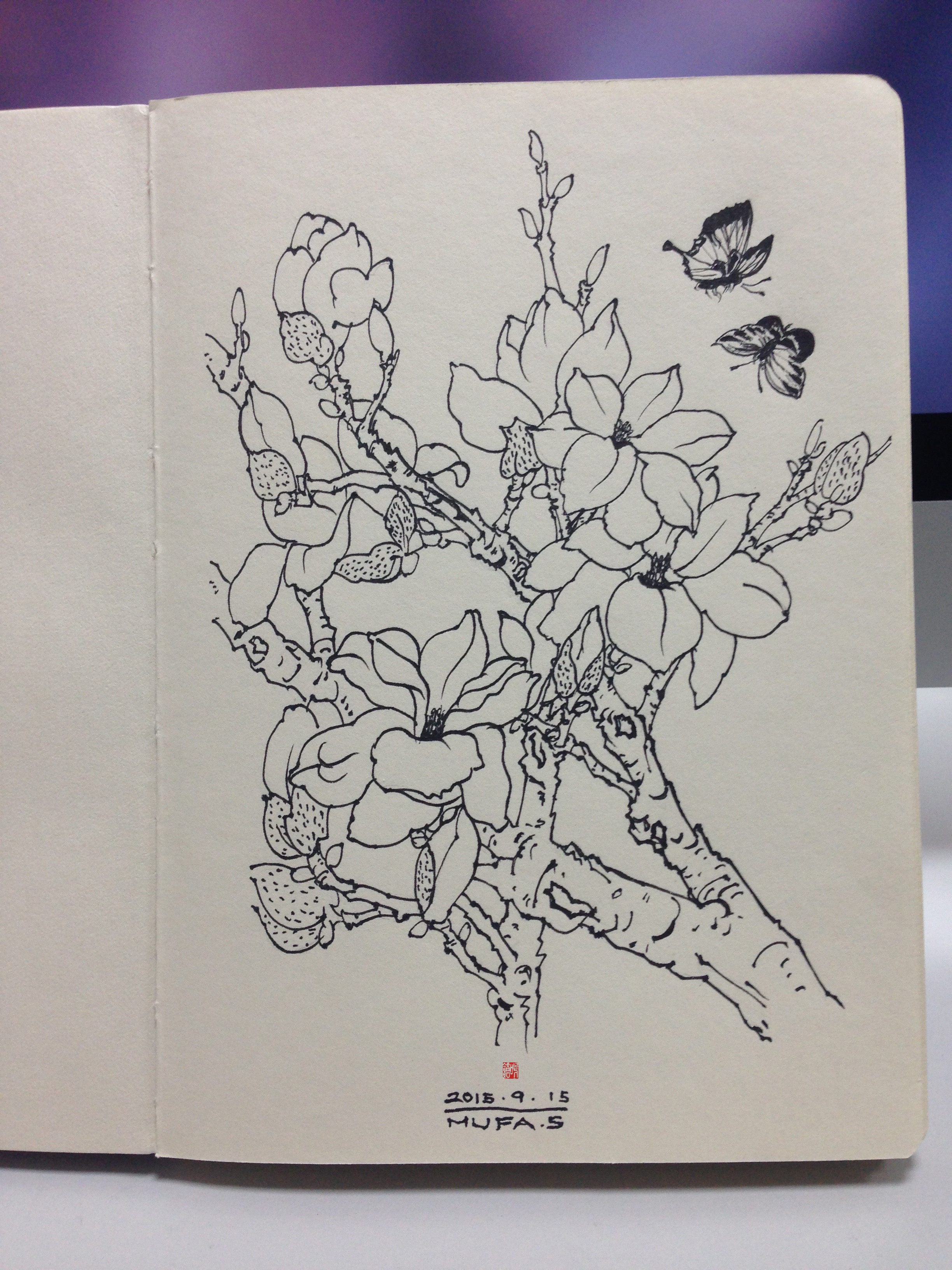 白描|插画|插画习作|墓法沙 - 原创作品 - 站酷 (zcool)