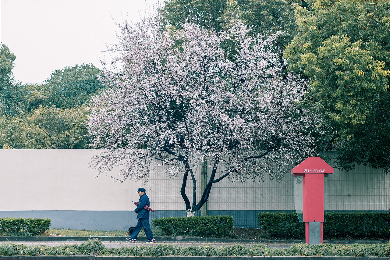 翻去年小區(qū)的春天，今年的春天花也要開啦！~（圖ZMTA2MTA2ODA4） - 人文/紀(jì)實(shí)攝影 - 站酷設(shè)計(jì)師正在做任務(wù)原創(chuàng)素材 - 站酷ZCOOL