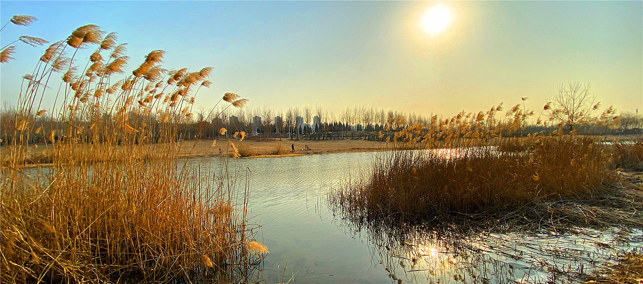 刘勇良手机纪实摄影:静静的早晨