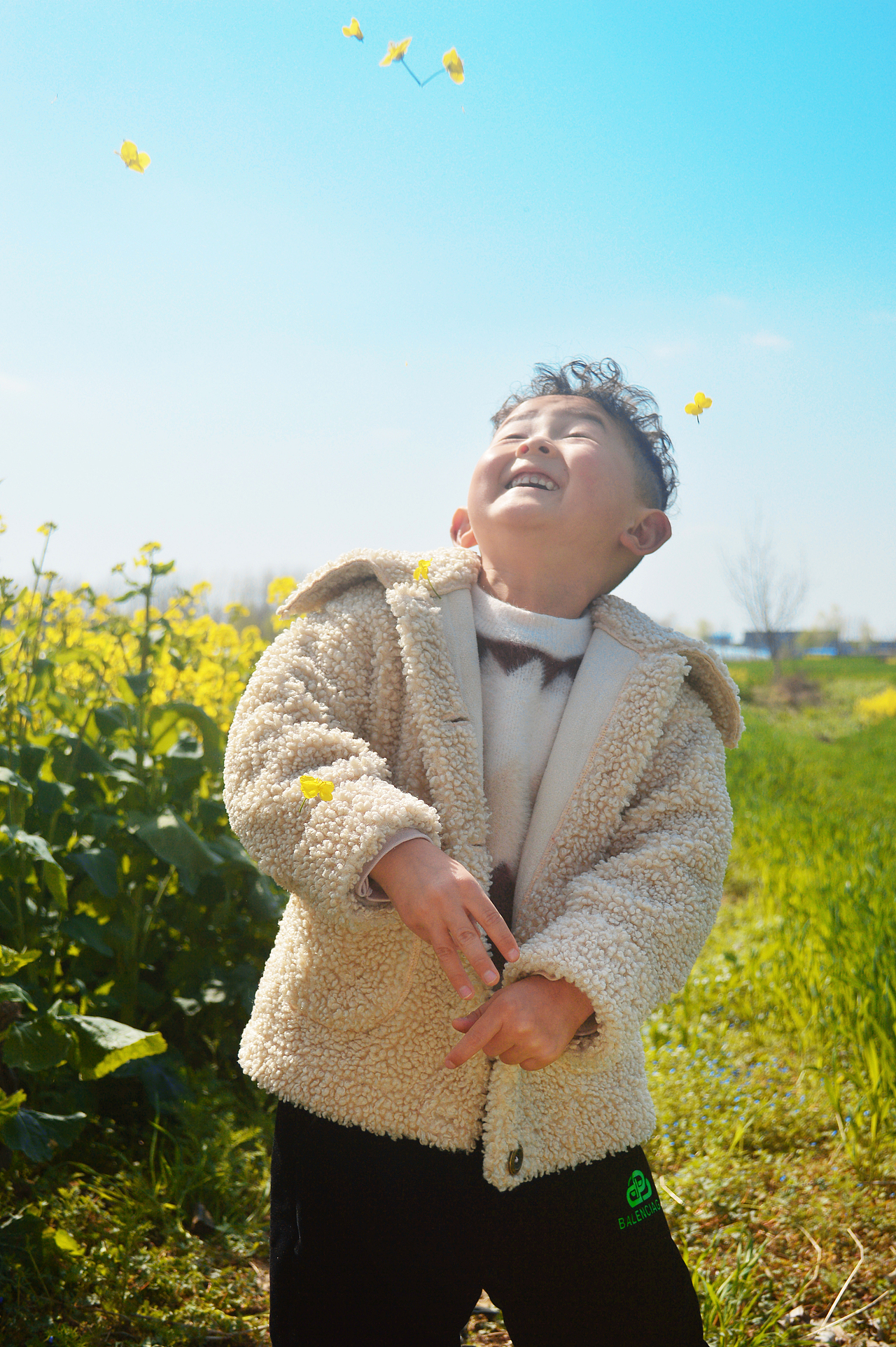 油菜花的季节+1