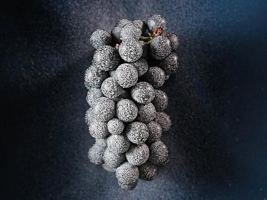 葡萄加冰了解一下