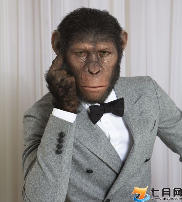 梧桐灯的个人主页（背景预览） - 主页背景设置 - 站酷设计师梧桐灯原创素材 - 站酷ZCOOL