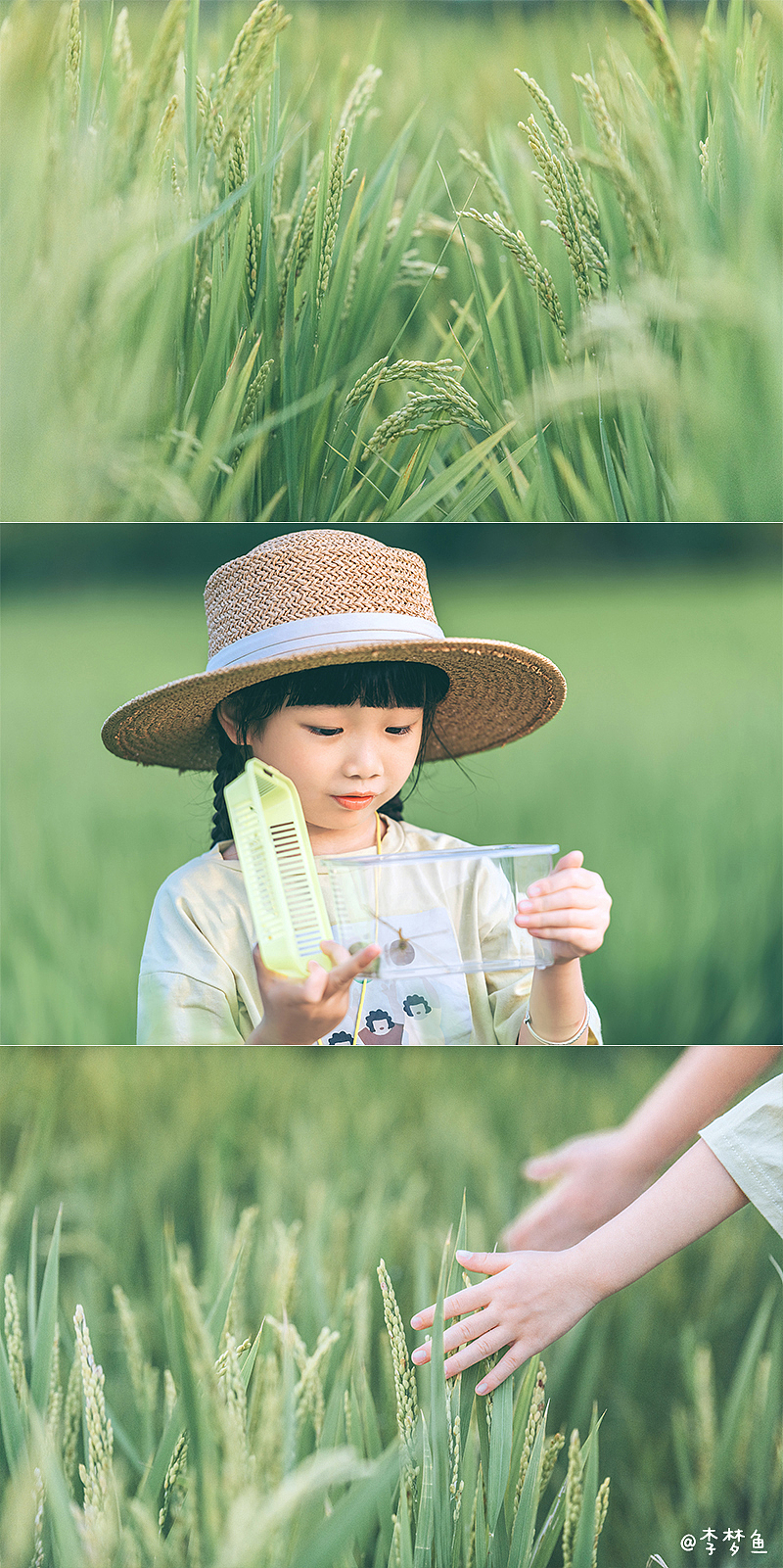 去年夏天的某天