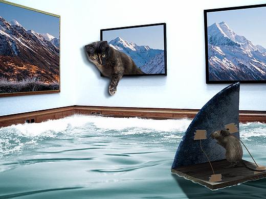 狡猾的老鼠（个人主页-ZNDExNjY0NjQ=） - 其他UI - 站酷设计师濠鲜原创素材 - 站酷ZCOOL