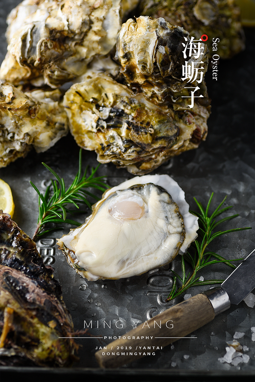 海蛎子/生蚝拍摄