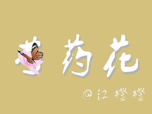 ps  手绘   插画   少女心   芍药花