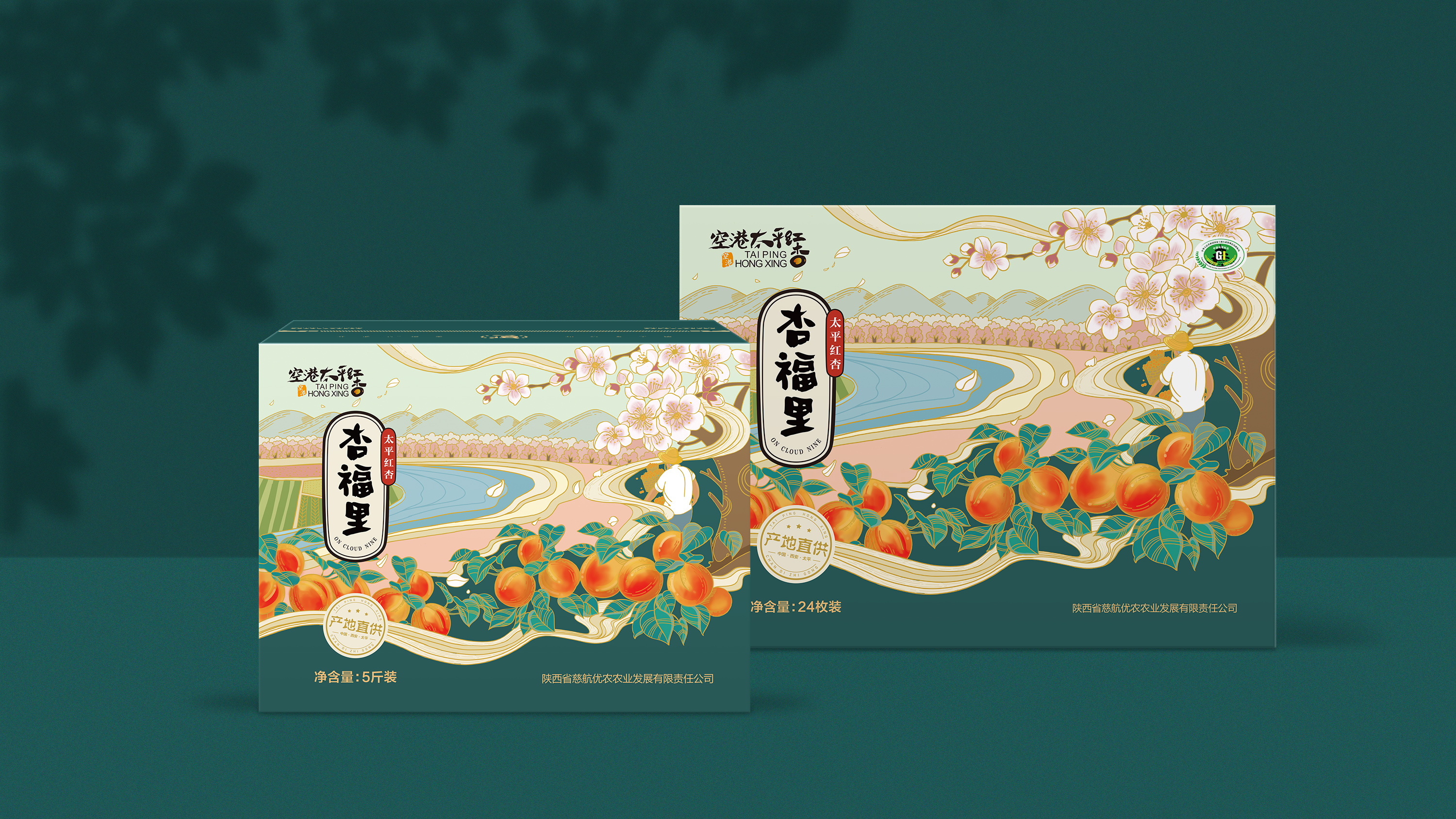 水果包装--杏--包装设计