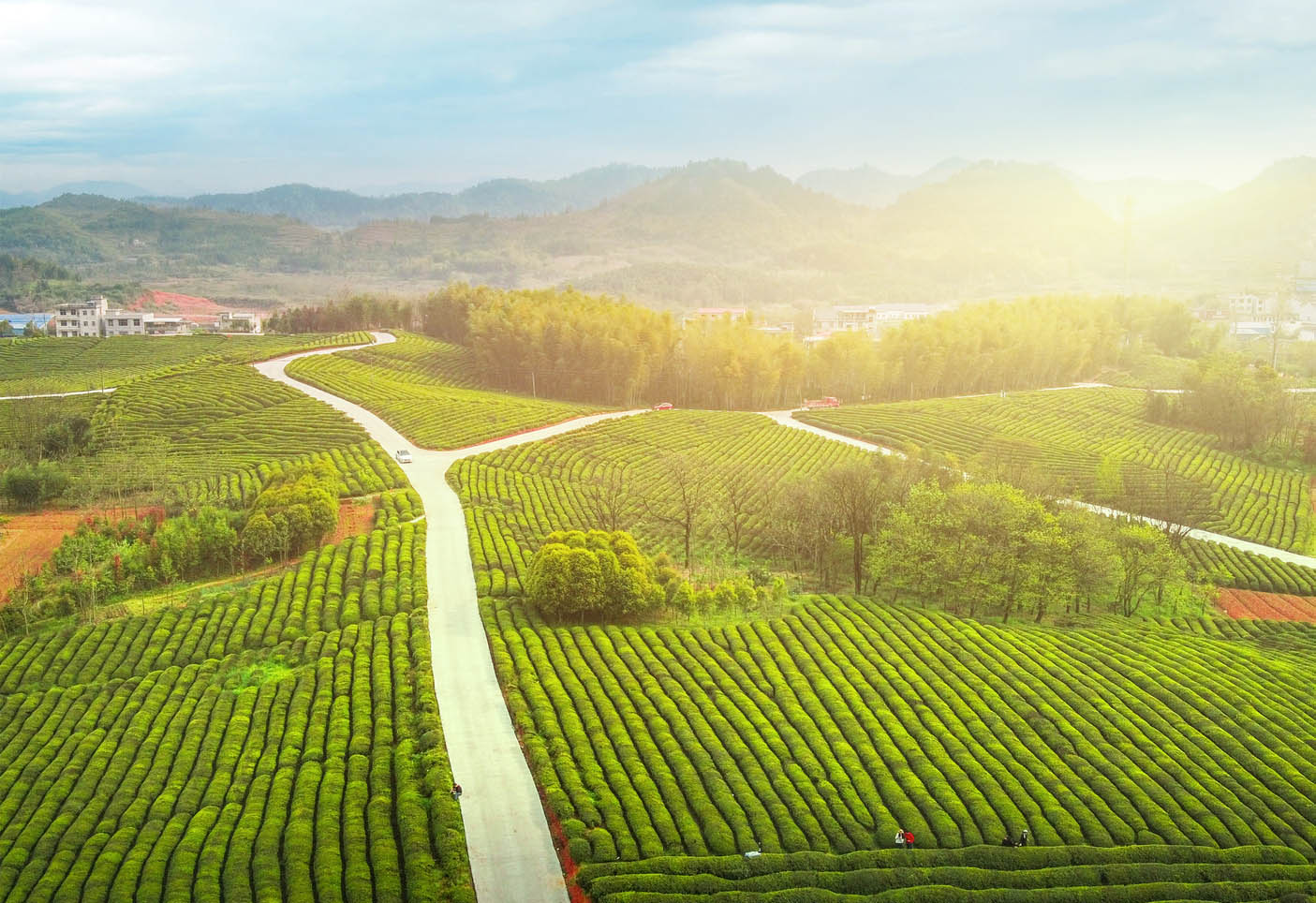 追风寻影的个人主页（背景预览） - 主页背景设置 - 站酷设计师追风寻影原创素材 - 站酷ZCOOL