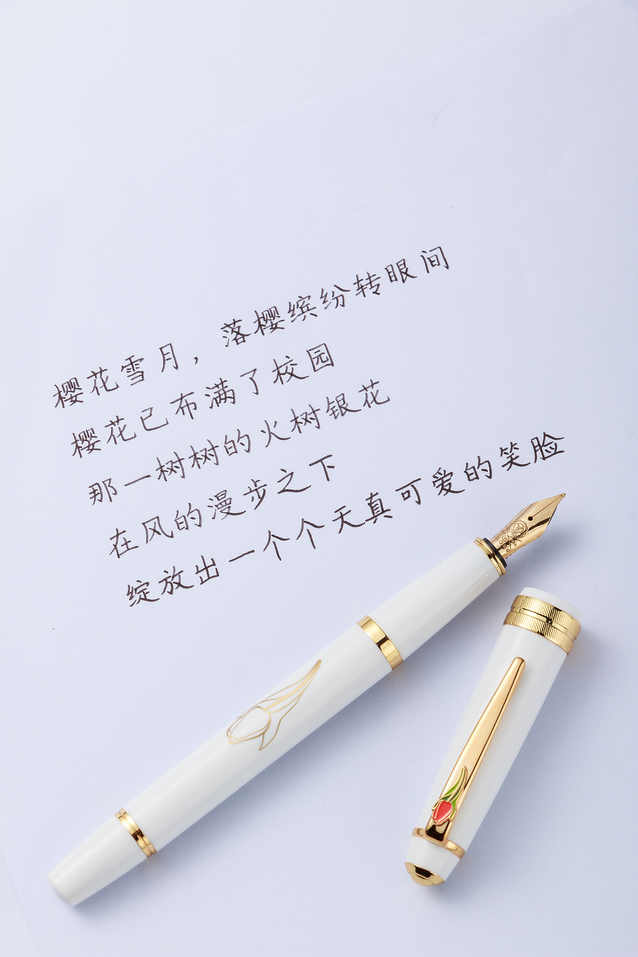 【文创】笔上生花,郁金香的优雅浪漫