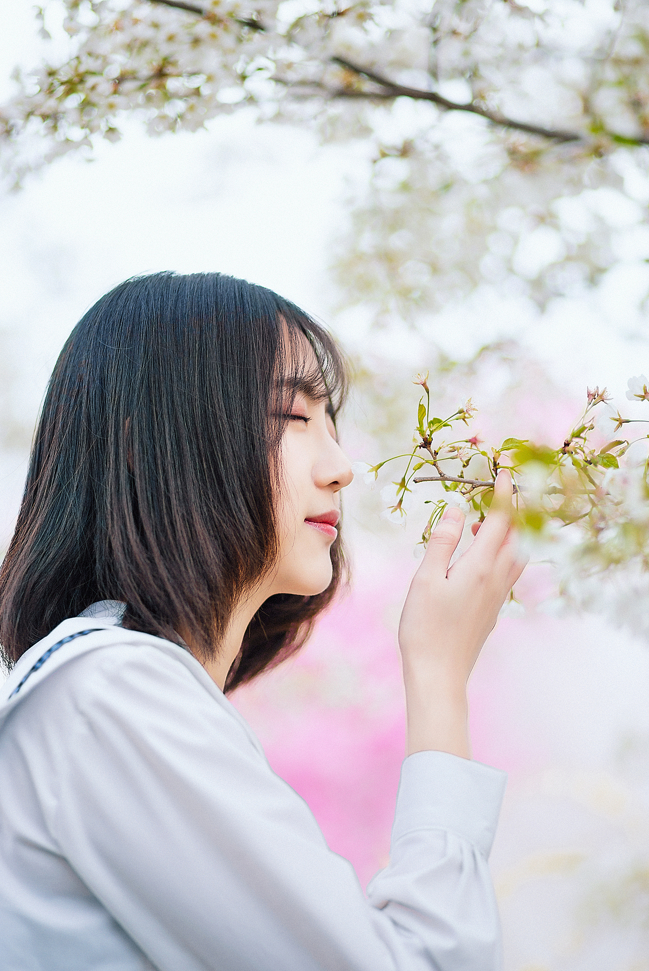 樱花开（图ZMTUzMDA4MzU2） - 人像摄影 - 站酷设计师笔画年华原创素材 - 站酷ZCOOL