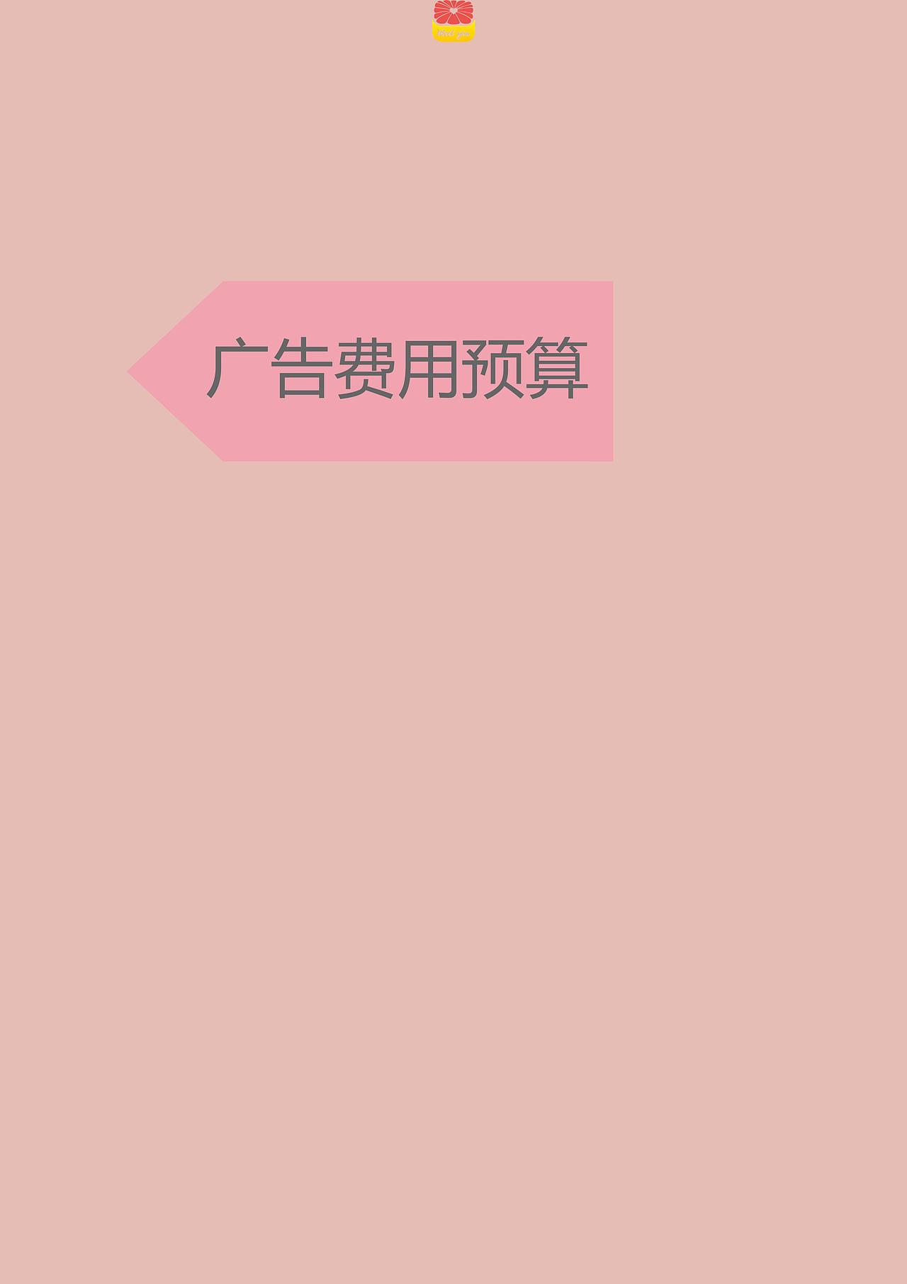 营销策划书-美柚APP
