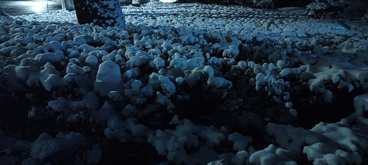 夜晚的中山陵雪景