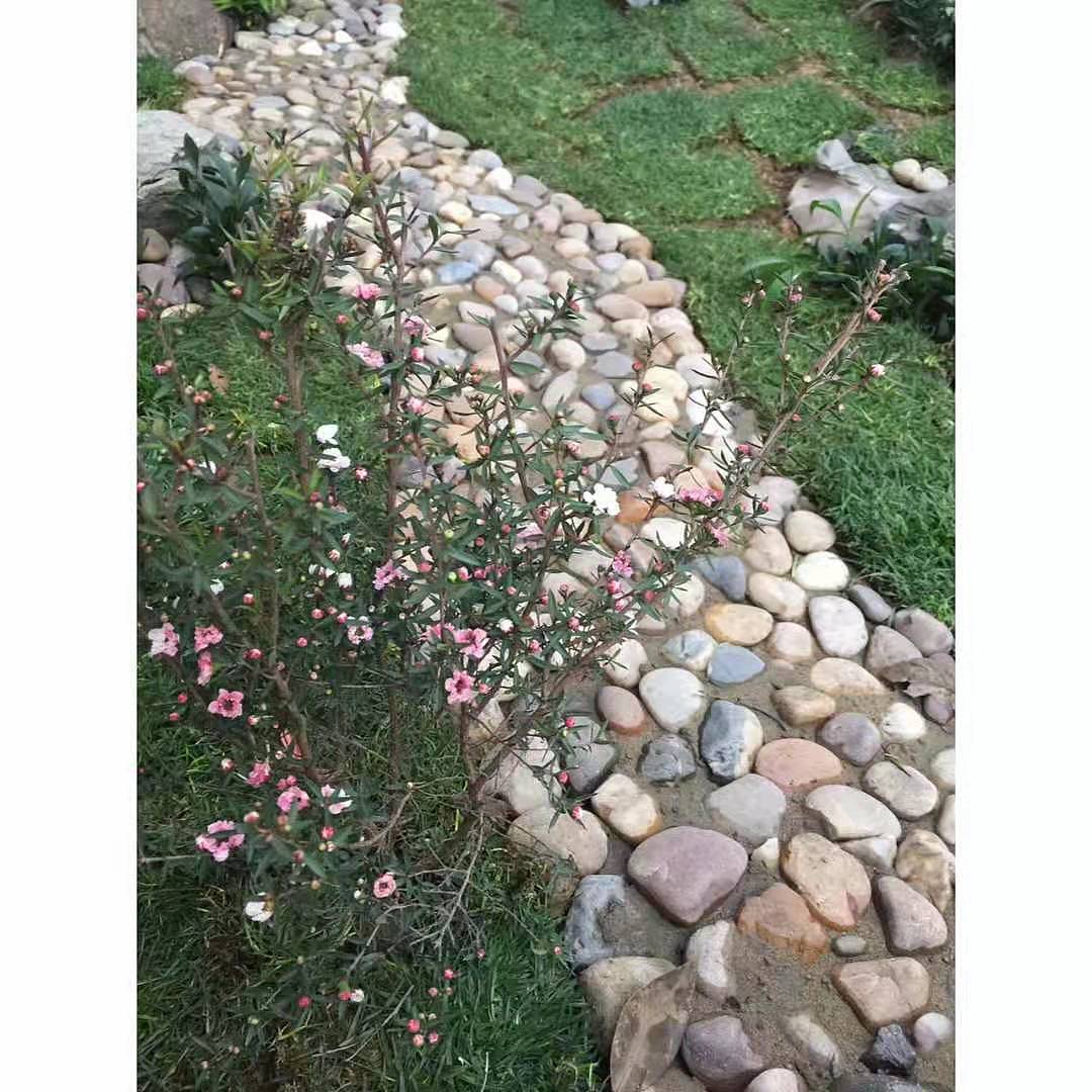 蚌埠天河湖绿色农庄 角落造景（图ZMTg4ODMxMDc2） - 家装设计 - 站酷设计师素悉美学空间2原创素材 - 站酷ZCOOL