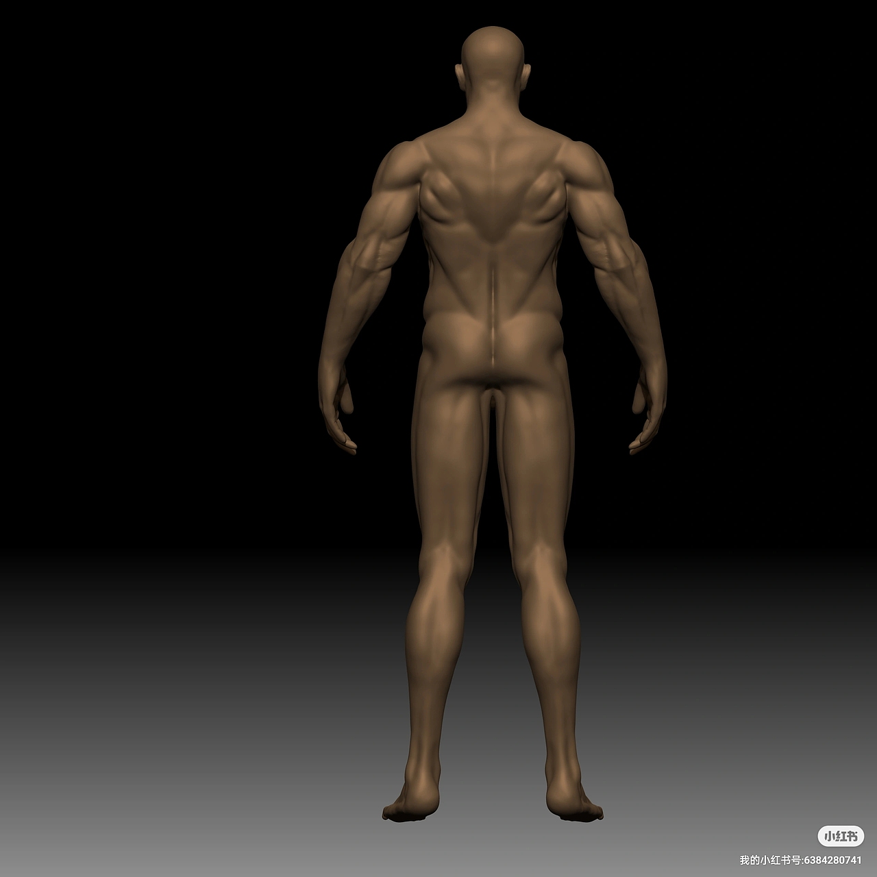 壮汉（人体）（图ZMzc3NDcxMDE2） - 动画/影视 - 站酷设计师四月倾城原创素材 - 站酷ZCOOL