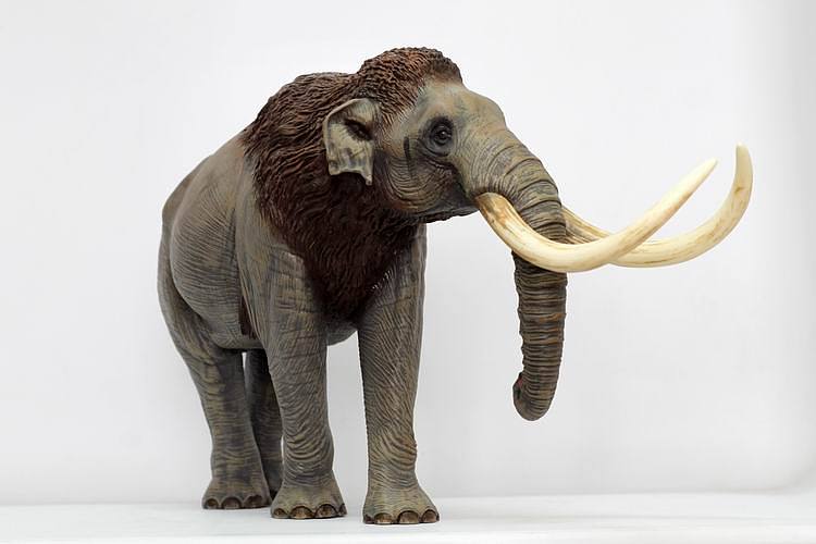 远古巨兽草原猛犸象
